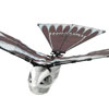 Radio Controlled Ornithopter